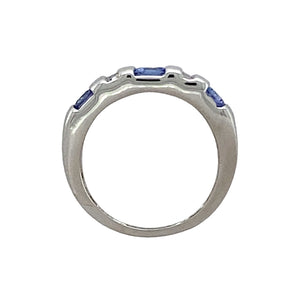 9ct White Gold Diamond & Tanzanite Set Band Ring